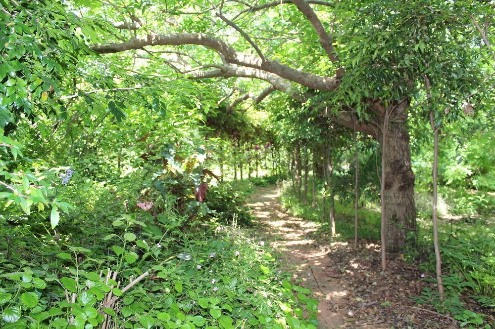 Storey Grange Springwood Bagian luar foto